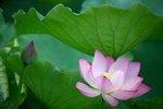 IMG_9317_resize