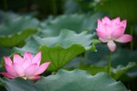 IMG_9319_resize
