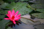 IMG_9321_resize