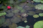 IMG_9322_resize