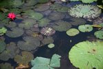 IMG_9324_resize