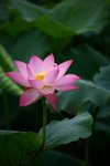 IMG_9327_resize