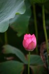 IMG_9331_resize