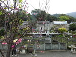 儲社  (181)