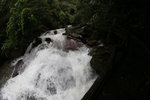 IMG_1137