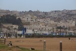 IMG_7505