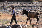 IMG_0069