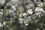 IMG_0167