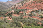 IMG_0191