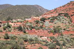 IMG_0193