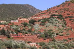 IMG_0194