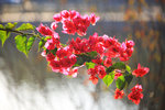 st (168)