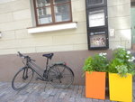 DSCN4882