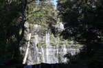 IMG_1885