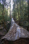 IMG_1896