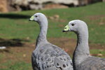 IMG_1902