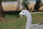 IMG_1903