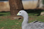 IMG_1904