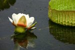 IMG_0876_resize