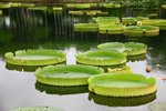 IMG_0882_resize