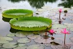 IMG_0883_resize