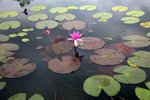 IMG_0885_resize