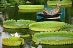 IMG_0886_resize