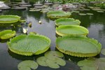 IMG_0888_resize