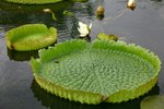 IMG_0889_resize