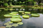 IMG_0899_resize