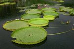 IMG_0902_resize