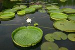 IMG_0905_resize