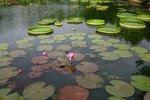 IMG_0908_resize