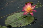 IMG_0920_resize