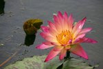 IMG_0927_resize