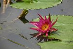IMG_0934_resize