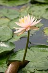 IMG_0940_resize
