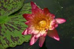 IMG_0943_resize