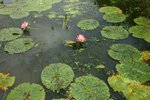 IMG_0947_resize