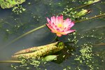 IMG_0949_resize