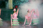 IMG_1133_resize
