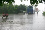 IMG_2726_resize
