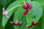 IMG_4428_resize