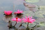 IMG_4429_resize