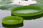 IMG_4432_resize