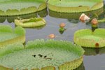 IMG_4441_resize