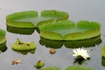 IMG_4444_resize