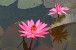 IMG_4447_resize