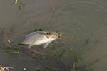 IMG_4448_resize