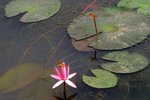 IMG_4477_resize